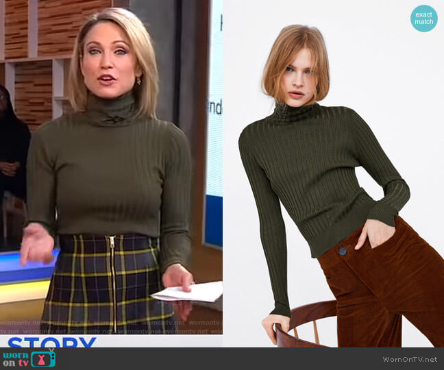 Ribbed Knit Turtleneck Sweater by Zara worn by Amy Robach on Good Morning America
