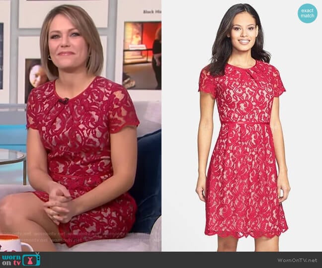 Scalloped Lace Dress by Adrianna Papell worn by Dylan Dreyer on Today