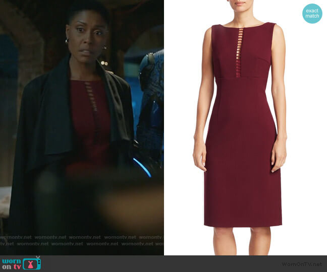 Doreen Ladder Front Sheath Dress by Elie Tahari worn by Lynn Stewart (Christine Adams) on Black Lightning