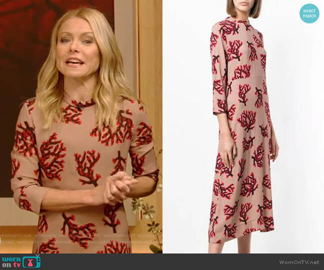 Wornontv Kellys Beige Branch Print Midi Dress On Live With Kelly And