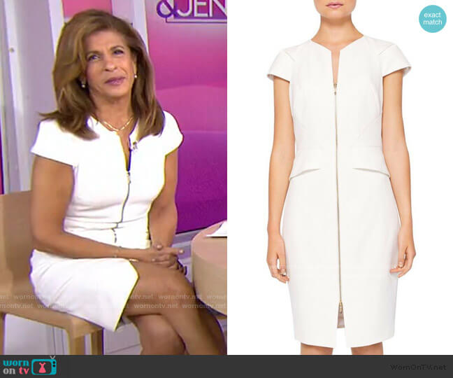 'Fearnid' Zip Front Pencil Dress by Ted Baker worn by Hoda Kotb  on Today