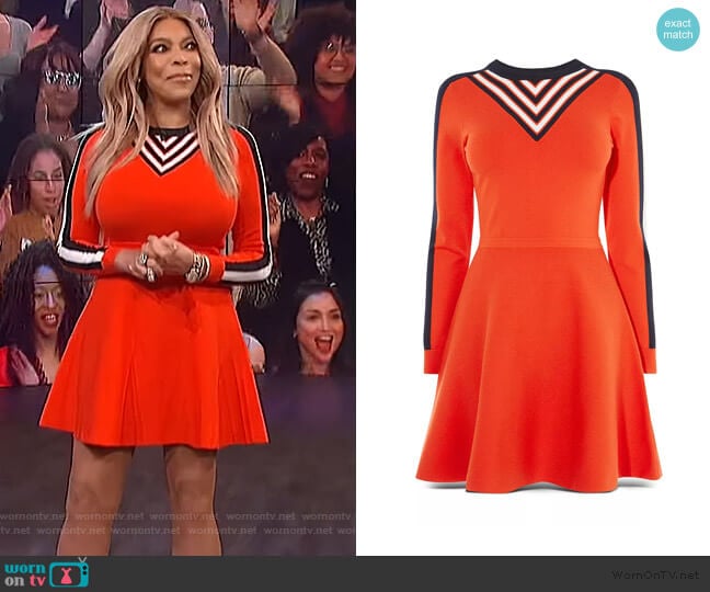 Stripe Detail Fit-and-Flare Dress by Karen Millen worn by Wendy Williams on The Wendy Williams Show