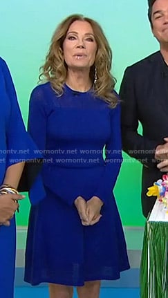 Kathie’s blue mesh panel dress on Today