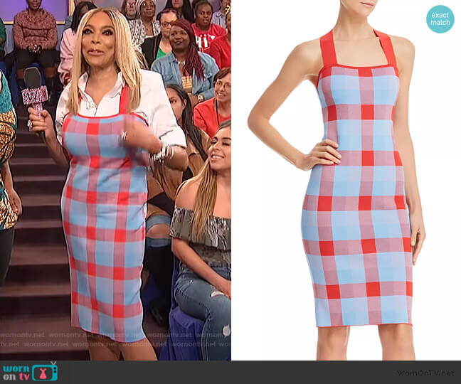 Ayla Knit Dress by Parker worn by Wendy Williams on The Wendy Williams Show