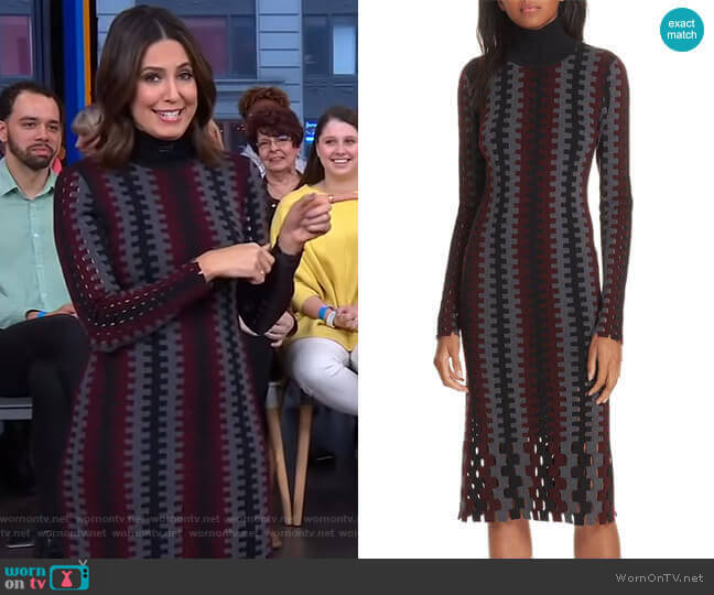 Turtleneck Merino Wool Midi Dress by Diane von Furstenberg worn by Cecilia Vega on Good Morning America