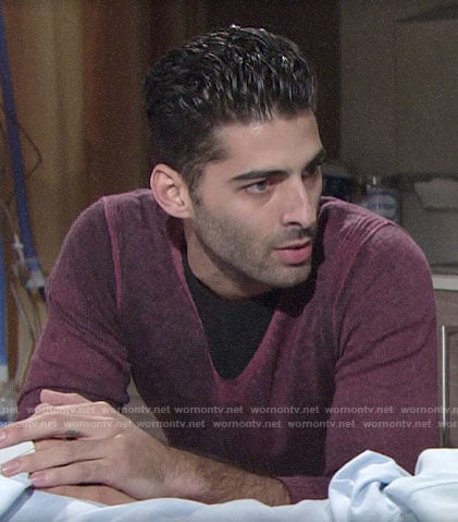 Arturo’s purple v-neck sweater on The Young and the Restless