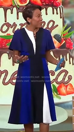 Robin's blue striped short sleeve dress on Good Morning America