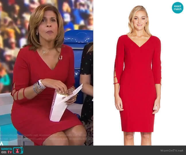 Three Quarter Sleeve Sheath Dress with Cutout Accents by Adrianna Papell worn by Hoda Kotb on Today