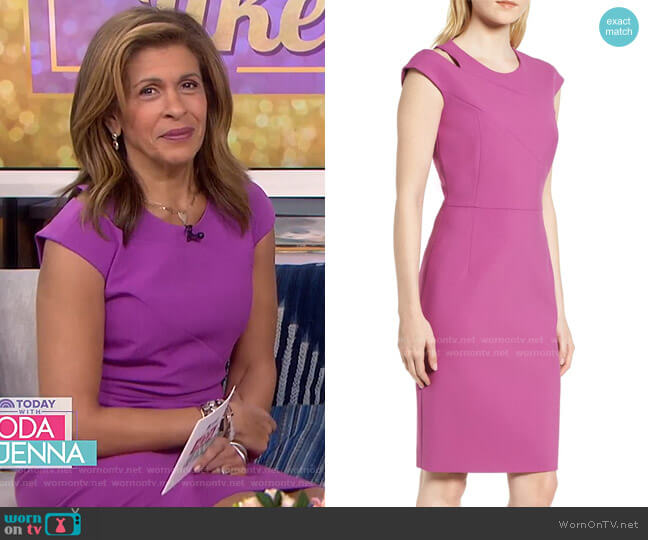 Danouk Sheath Dress by Boss worn by Hoda Kotb on Today