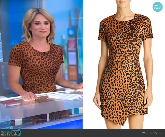 Wornontv Amy S Leopard Print Dress On Good Morning America Amy