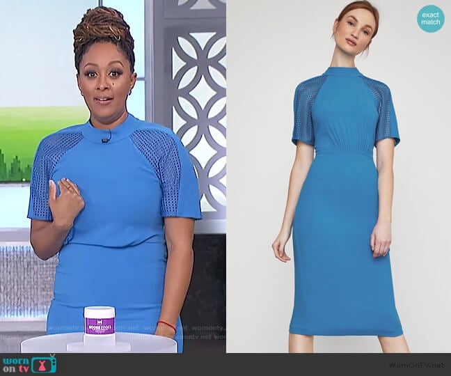 WornOnTV Tamera s blue mesh sleeve dress on The Real Tamera