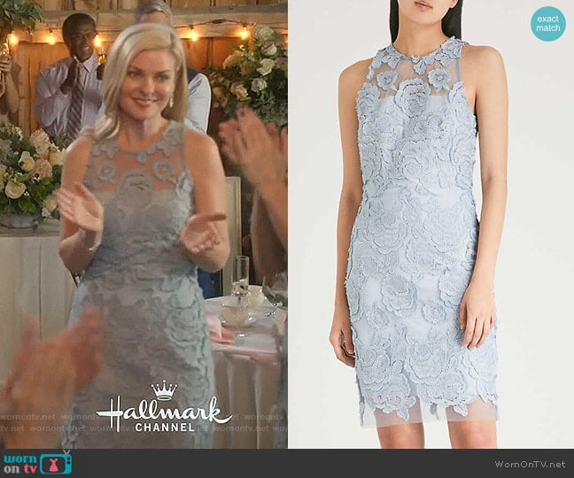 Meghan-floral Lace Dress by Reiss worn by Stephanie Borden (Kylee Evans) on Good Witch