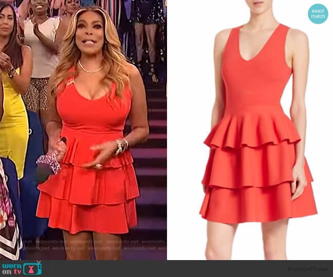 Tiered Dress by Parker worn by Wendy Williams on The Wendy Williams Show