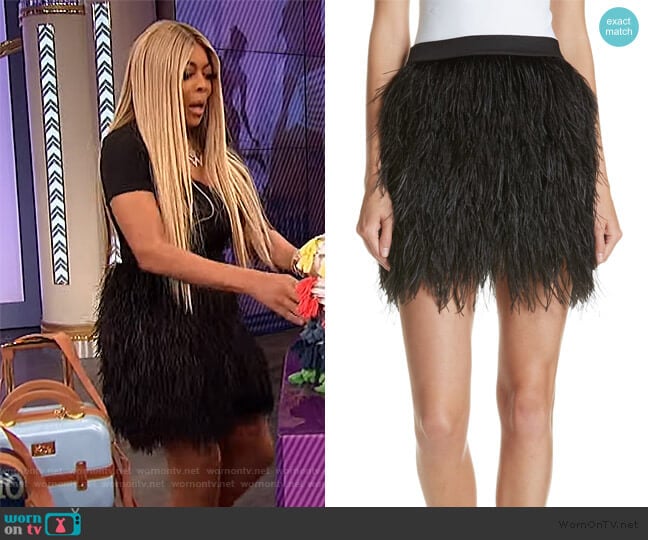 Ostrich Feather Miniskirt by Robert Rodriguez worn by Wendy Williams on The Wendy Williams Show