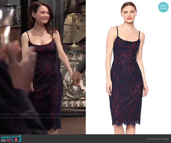 Bcbgmaxazria Strappy Lace Sheath Dress worn by Elizabeth Webber (Rebecca Herbst) on General Hospital