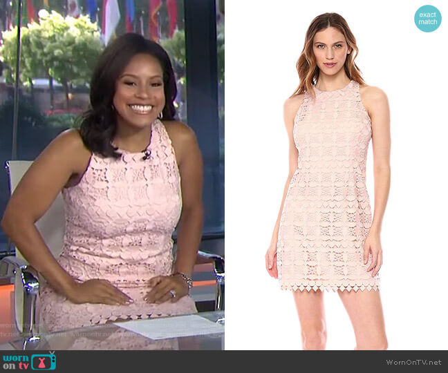 WornOnTV: Sheinelle’s pink sleeveless lace dress on Today | Sheinelle ...