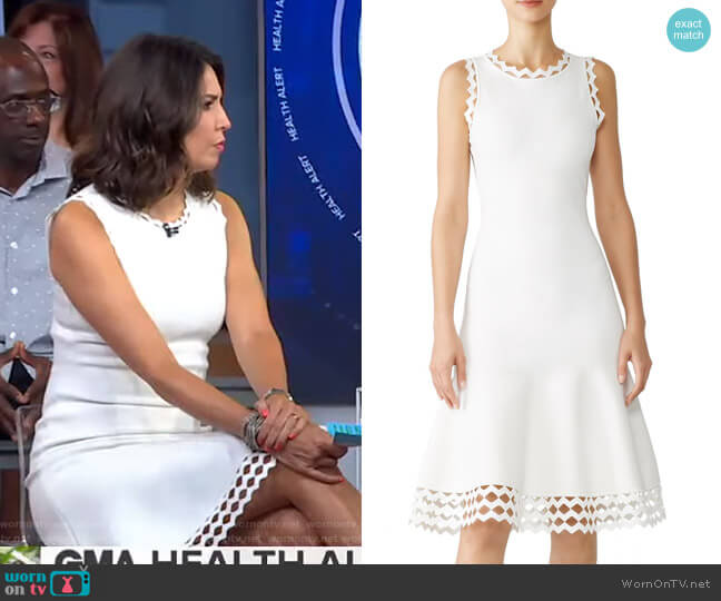 Diamond Cut Dress by Milly worn by Cecilia Vega on Good Morning America