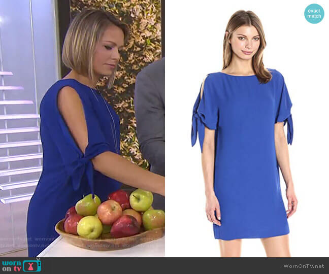 Solid Crepe Shift Dress by Vince Camuto worn by Dylan Dreyer on Today