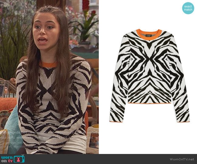 Zebra Skinny Sweater by Topshop worn by Tess O'Malley (Sky Katz) on Ravens Home