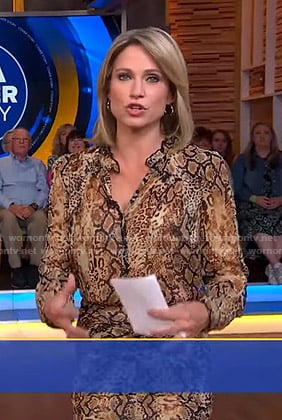 Amy’s animal print dress on Good Morning America