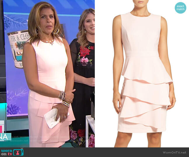 WornOnTV: Hoda’s pink ruffle front dress on Today | Hoda Kotb | Clothes ...