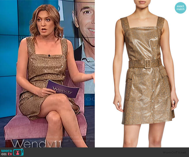 Lorena Vinyl Snake-Print Short Dress by Nanushka worn by Elizabeth Wagmeister on The Wendy Williams Show