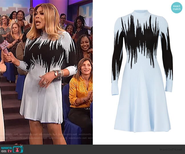 Blue Intarsia Knit Dress by Opening Ceremony worn by Wendy Williams on The Wendy Williams Show