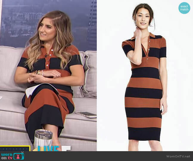 Ribbed Polo Sweater Dress by Banana Republic worn by Tierney Bricker on Live from E!