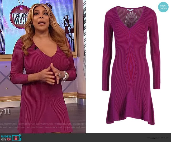 WornOnTV: Wendy’s purple ribbed v-neck dress on The Wendy Williams Show ...