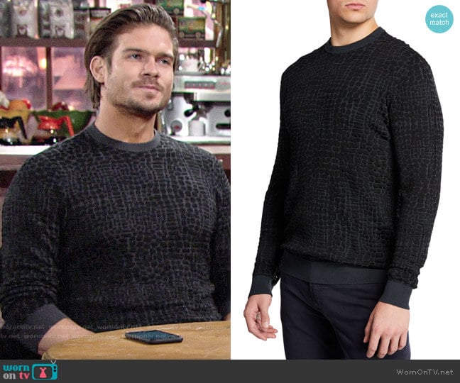 Emporio Armani Animal-Pattern Crewneck Sweater worn by Theo on The Young and the Restless