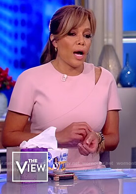 Sunny’s pink sheath dress on The View
