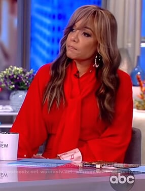 Sunny's red tie neck blouse and skirt on The View