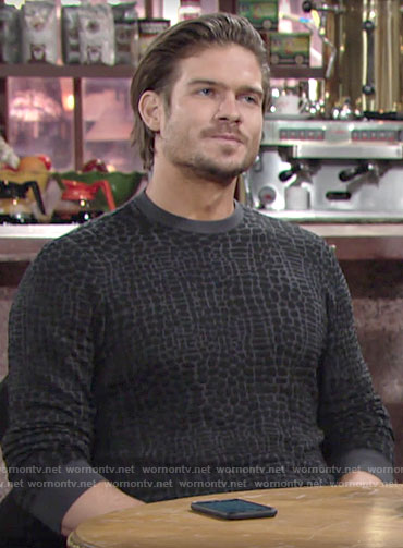 Theo’s animal textured sweater on The Young and the Restless