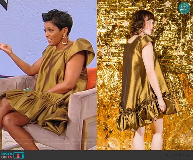 Metallic Puff Dress by Kelsey Randall worn by Tamron Hall on Tamron Hall Show