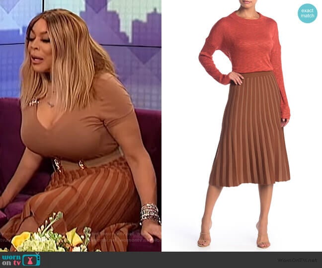 Pleated Midi Skirt by Lush worn by Wendy Williams on The Wendy Williams Show