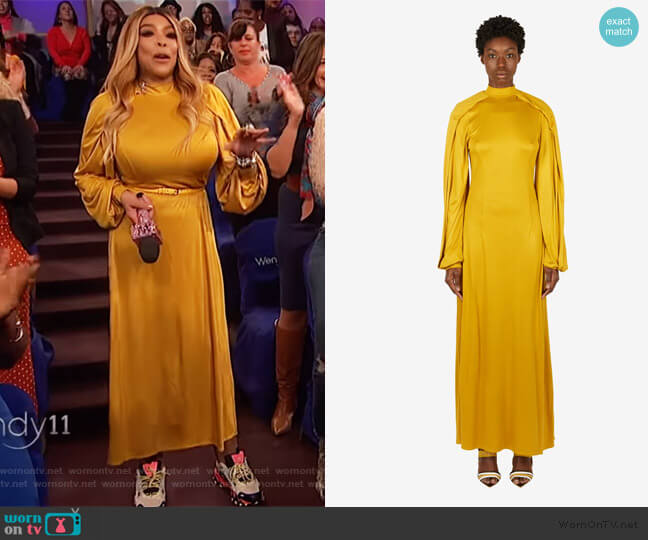 Wrap Sleeve Maxi Dress by Pyer Moss worn by Wendy Williams on The Wendy Williams Show