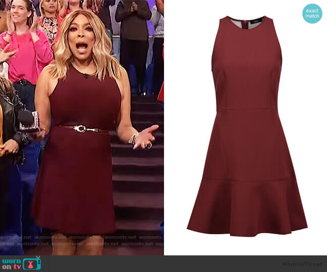 Short Dress by Theory worn by Wendy Williams on The Wendy Williams Show