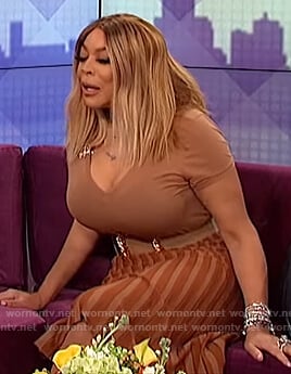 Wendy’s brown pleated skirt on The Wendy Williams Show