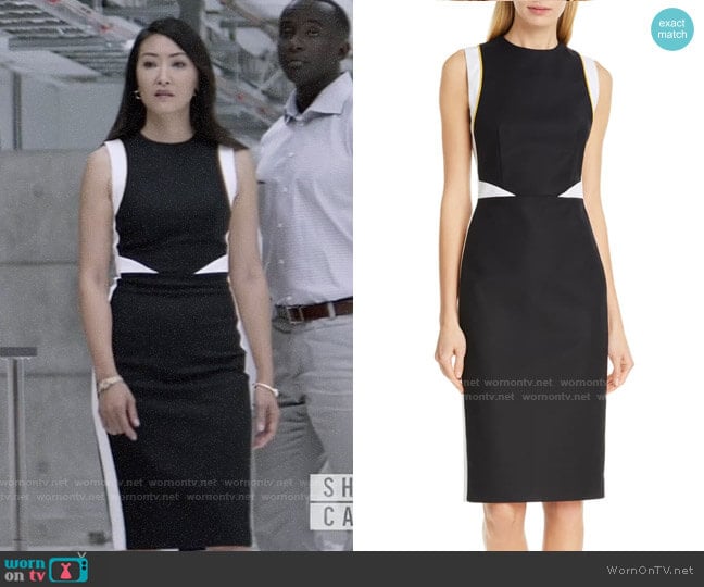 Judith and Charles Tilberg Colorblock Sheath Dress worn by Catherine Hamilton-Kane (Elizabeth Anweis) on Batwoman