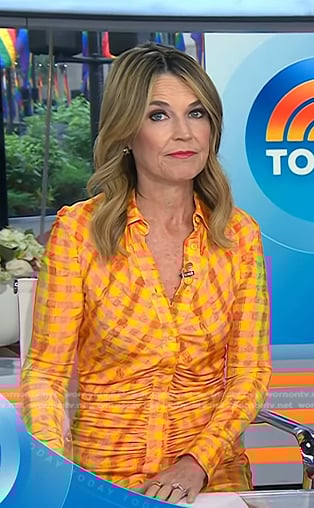 Savannah's orange gingham check shirtdress on Today