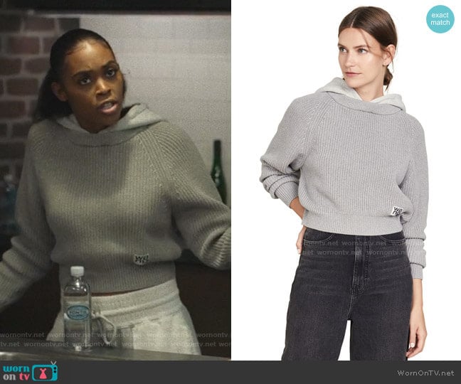 Utility Hoodie Sweater by alexanderwang.t worn by Anissa Pierce (Nafessa Williams) on Black Lightning