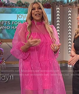 WornOnTV: Wendy’s pink tulle dress on The Wendy Williams Show | Wendy ...