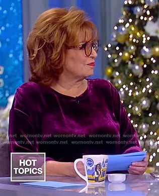 Joy’s purple velvet top on The View