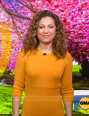 Ginger’s yellow knit midi dress on Good Morning America