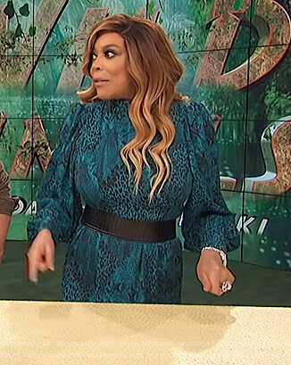 Wendy’s green snakeskin print maxi dress on The Wendy Williams Show