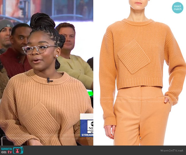 Airy Extrafine Wool Sweater by Tibi worn by Marsai Martin on GMA