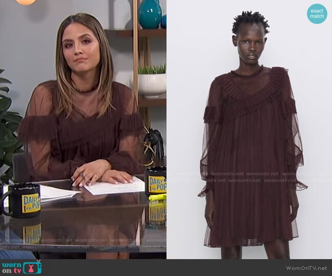 Ruffle Tulle Dress by Zara worn by Erin Lim on E! News