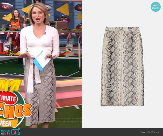 Animal Print Skirt by Zara worn by Amy Robach on Good Morning America