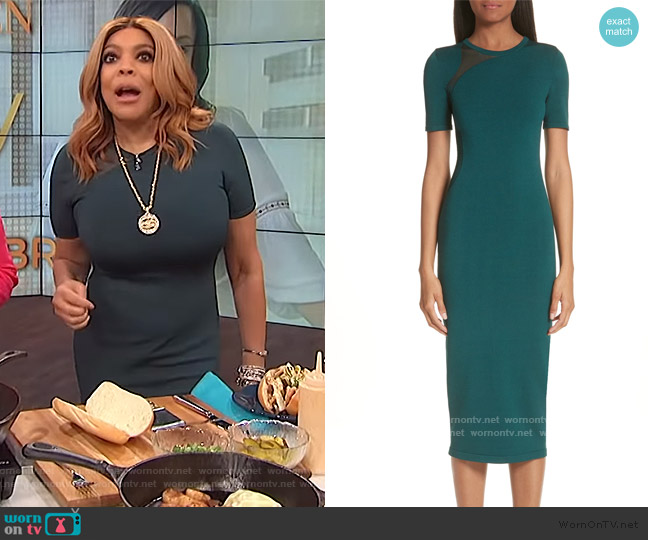 et Ochs Sheer Panel Inset Knit Dress by Cushnie worn by Wendy Williams on The Wendy Williams Show