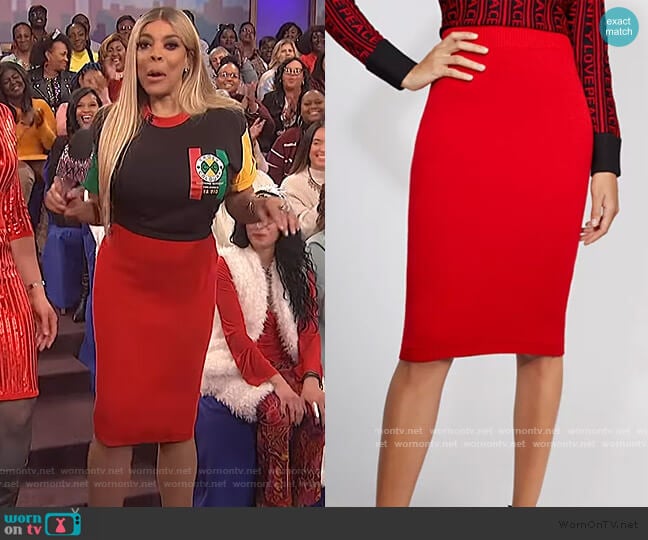 Red Sweater Skirt by Gabrielle Union worn by Wendy Williams on The Wendy Williams Show